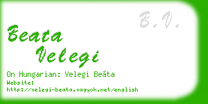 beata velegi business card