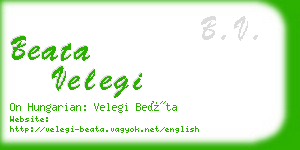 beata velegi business card